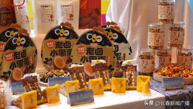 漳州文旅康养资源推介招商会长春启幕 邀客共赴“山海暖冬之约”