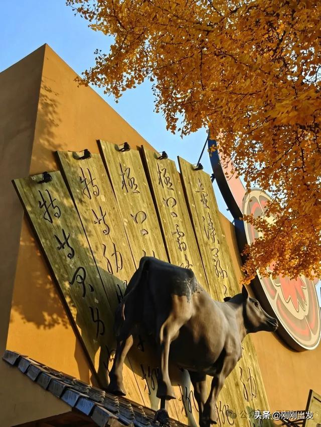 大连市内最火银杏大道正当时，满地金黄，快来打卡吧