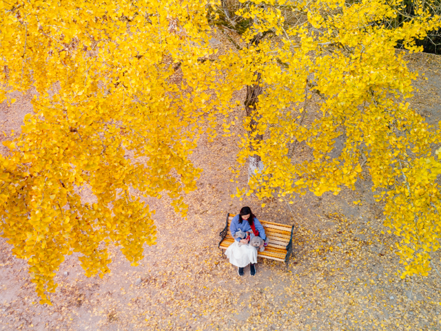 美如仙境！韶关这个地方迎来今年首场冰挂雾凇景观，秋冬来旅行，赏雪泡泉看红枫为你安排好了