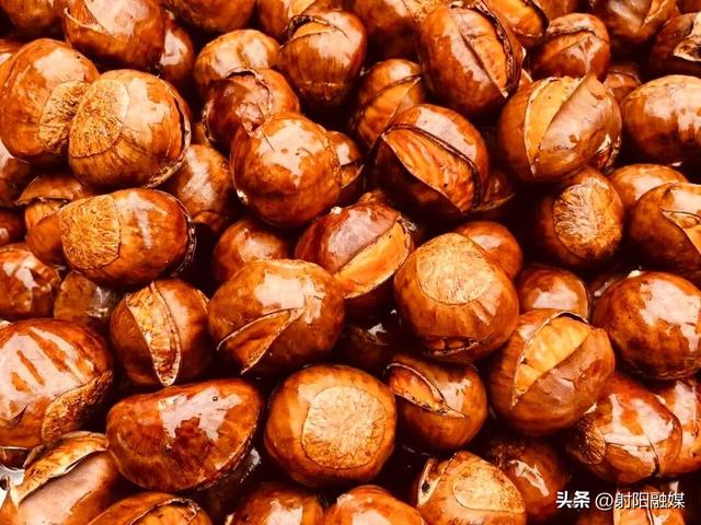 这个秋天，总要来一趟射阳吧