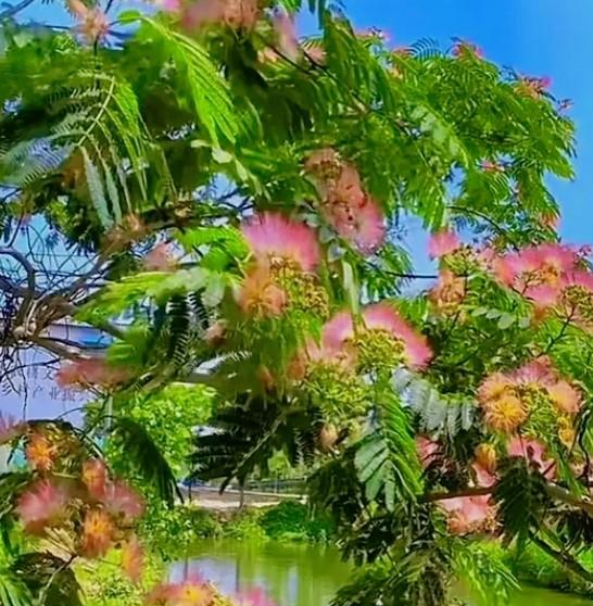 波得定律与坏榜样的法则