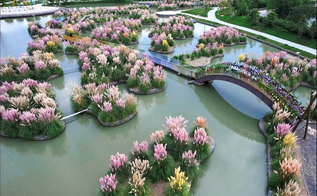 别只等着栖霞山的红叶，南京周边人少的彩色芦苇雪海，出片率100%