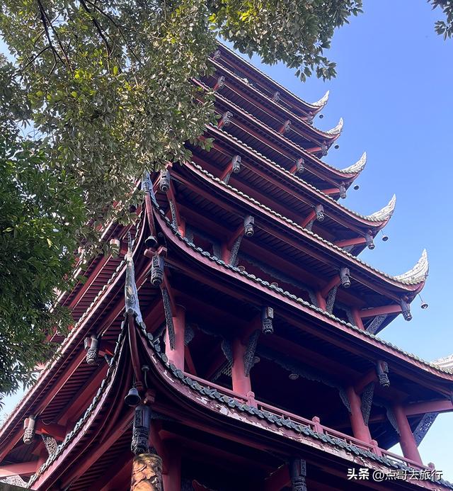 成都被私藏的彩林公园，流金溢彩，充满老城烟火气，地铁公交直达