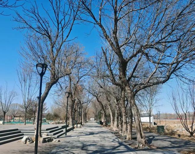 直通杨柳青古镇，元宝岛二期抢“鲜”看！