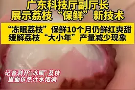 闹大了!广东300吨冻眠荔枝解冻上市，网友:和预制菜有什么区别?图片