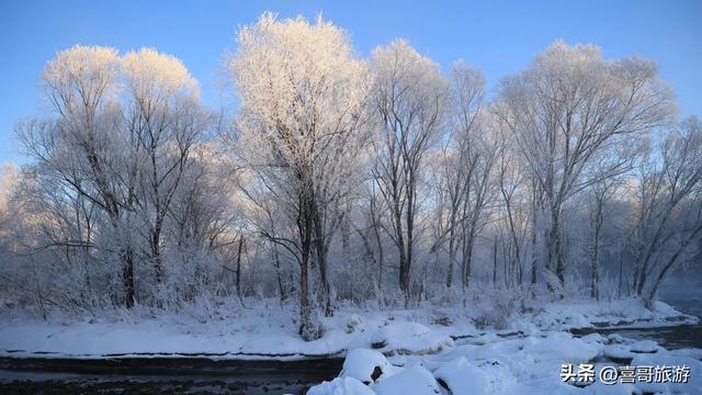 逊克雾凇秘境：北纬49°的冰雪童话史诗