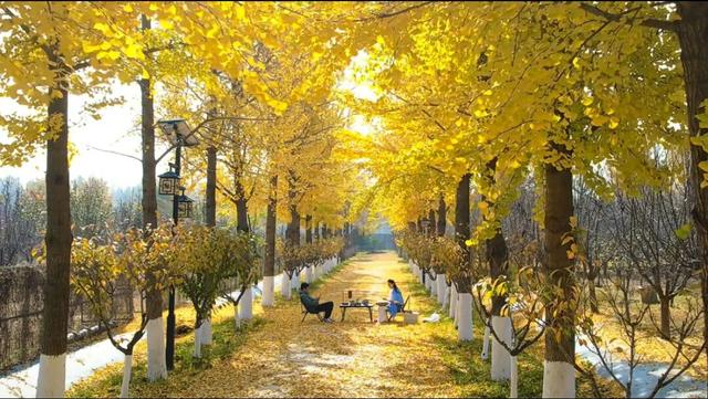 初冬诸城，小城意暖正当时