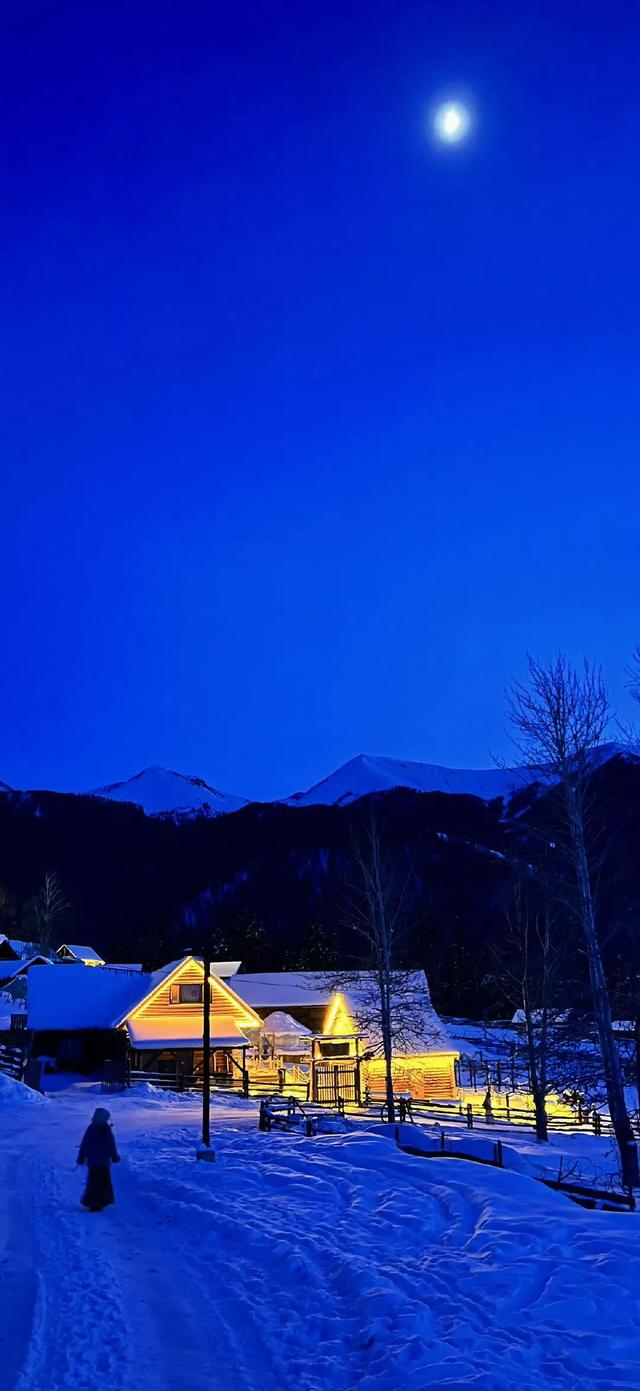 冬至快乐～盼一场大雪，而后春归