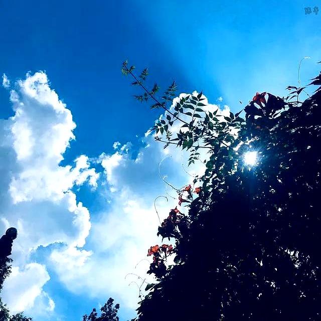紧急通知河南人注意明天起天气“大变脸”这次不只是下雨那么简单