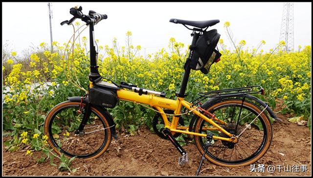 告别骑行“数据焦虑”3条枣庄小众路线，从晒圈狂躁症到四季治愈