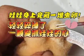 惊呆了！网友夹娃娃发现几十个虫卵，网友：幸好我从来没抓到过图片
