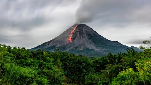 火山喷发：植物的“毁灭者”与“催化剂”