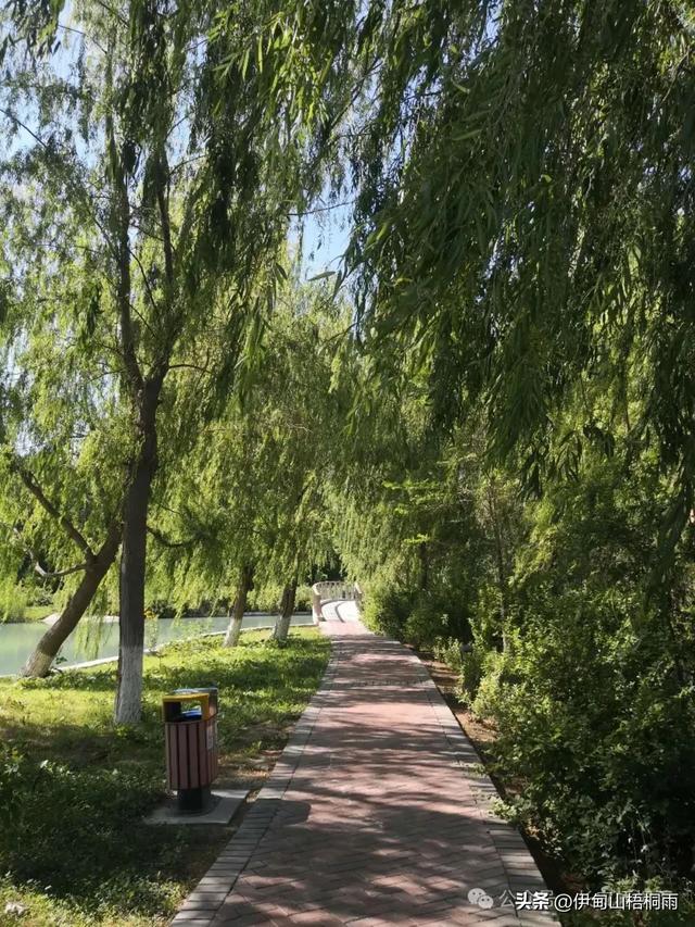 新疆之行（九）博乐，一座令人心动的宜居城市