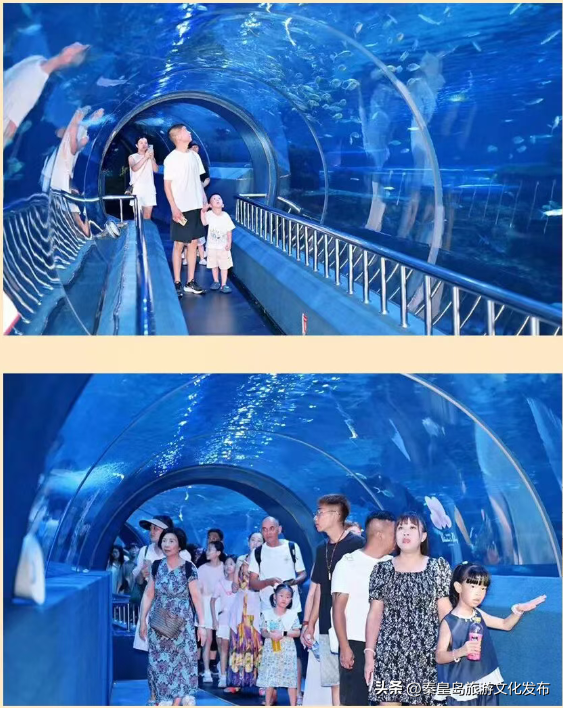 秋冬游秦皇岛“闲游揽胜・心憩自然”系列活动，邂逅童话月、徒步、醒春的浪漫！