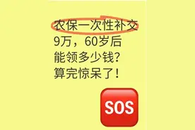 农保补交9万，60岁后能领多少？图片