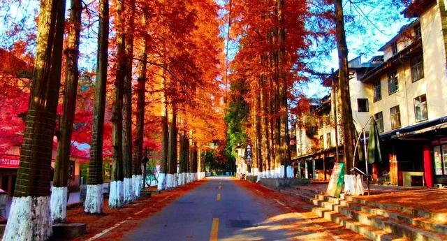 国庆复习手册！您的假期回忆正在加载中