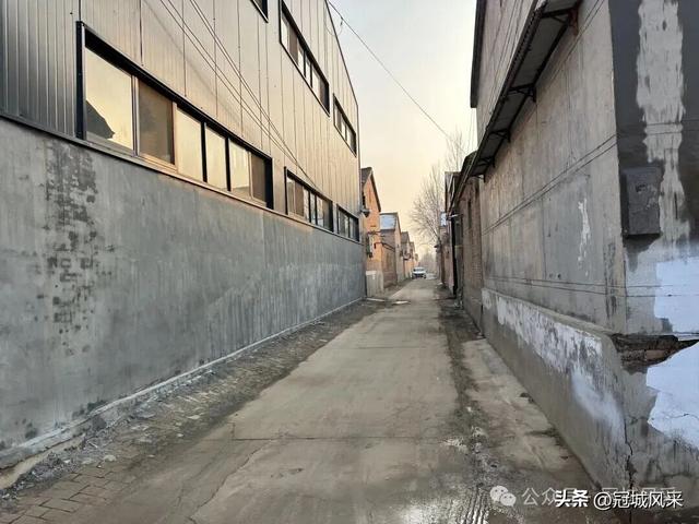 冠县乡韵·清水镇后井寨村