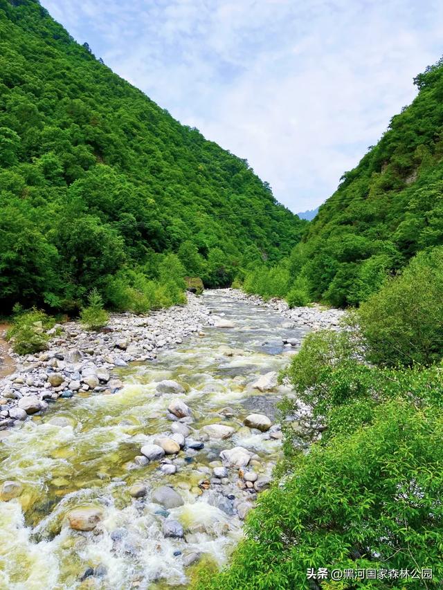 进山纳凉来黑河国家森林公园，让你逃离酷暑，一键降温！