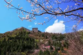 扩散｜免费！降价！天津多个景区官宣→图片