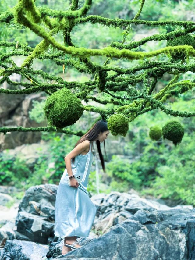 济南这片“会呼吸的森林”真的不太一样，趁暑假结束前快来一趟吧！
