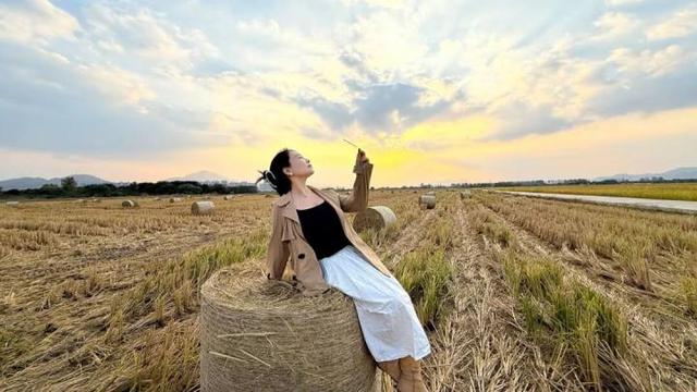 秋日的大杭州田间太“卷”了！胖乎乎的“瑞士卷”，一个一个又一个……