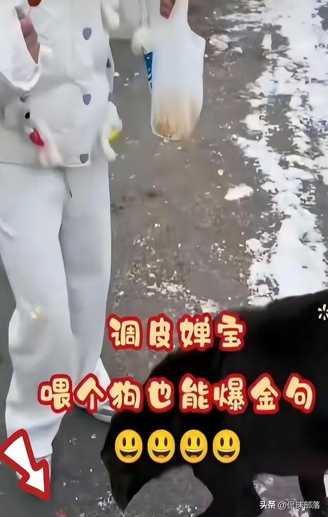 家宅争议刚过	，全红婵就带伤现身新疆雪道，她担心的事还是来了！