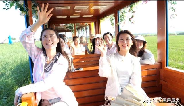 黄河入海 大美垦利丨沉浸式解锁夏日文旅新体验