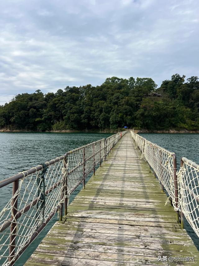 游流溪河森林公园