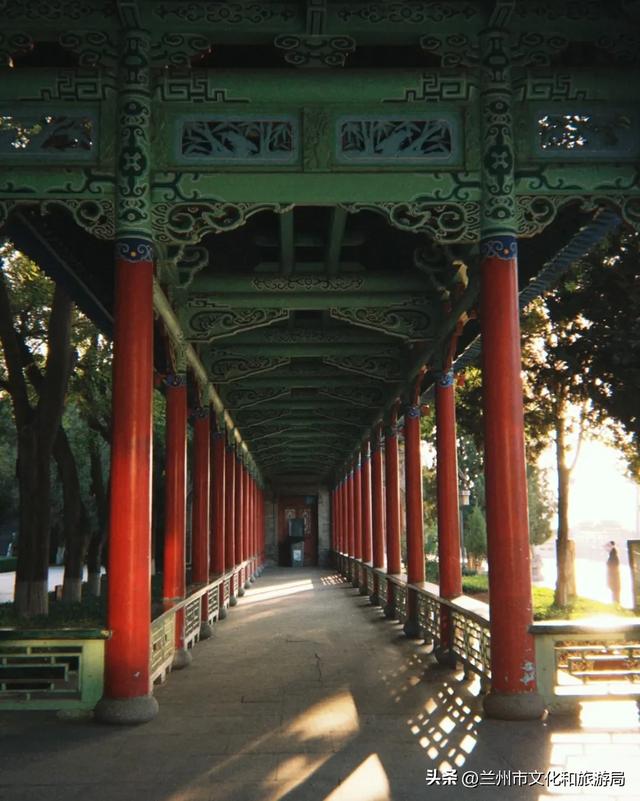 「十一特辑」天高云阔 最是金城秋