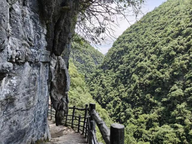 恩施旅游怎么走？单看我这篇就足够