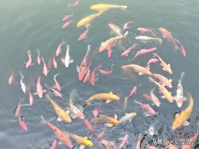 1000元实现了3天济南遛娃之旅