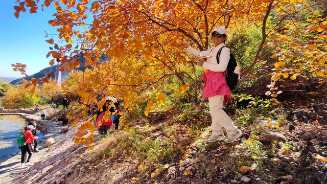 花最少的钱，看最美红叶，邢台佛照山，我们坐火车公交来啦