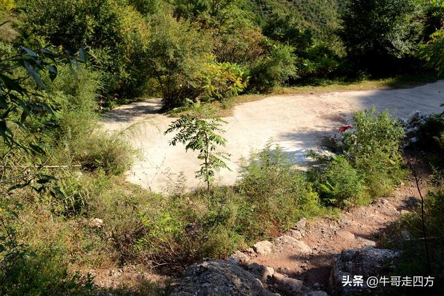 延庆应梦寺（五）：山巅极目收千嶂，林海听风涤尘心