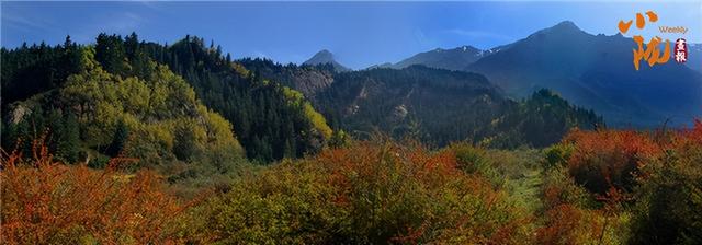 【联动宣传】张掖肃南寄出“秋日请柬” 这些美景藏不住了！