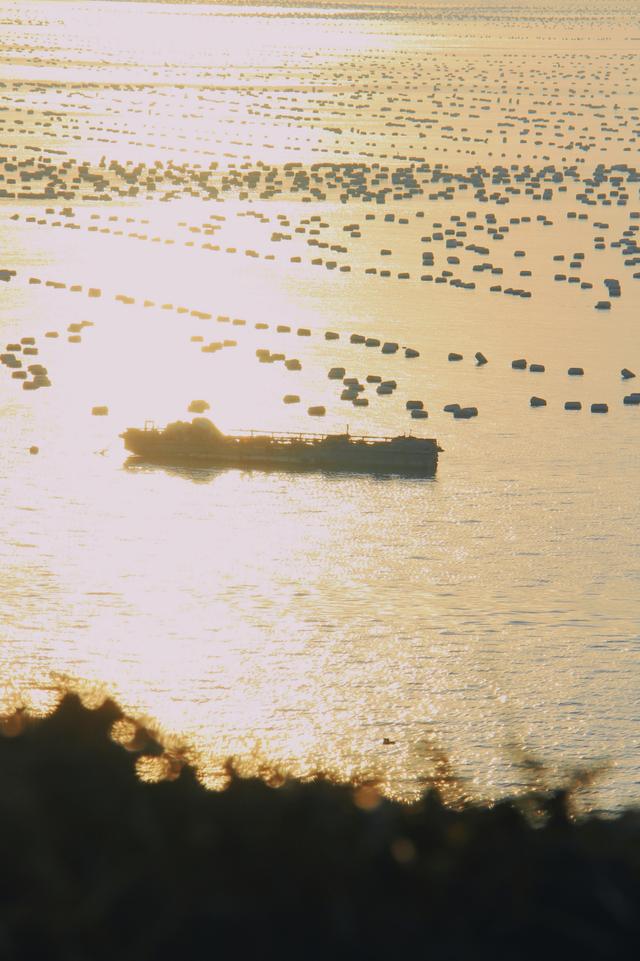 3710公里，这条避寒的20°C候鸟路线，从东北到海南，一路美到底！