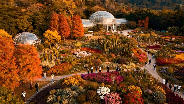 绯云坠野丹枫岫，金浪翻空粤韵稠 —— 羊城秋行揽胜记
