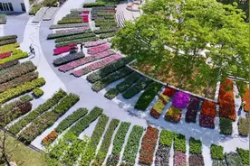 最新明确：免费开放！就在市中心图片