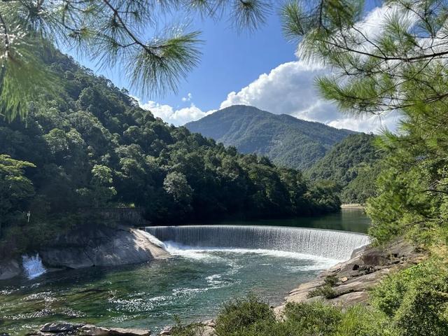 住山舍、寻茶趣、探自然！武夷山的康养时光，尽是自在与松弛