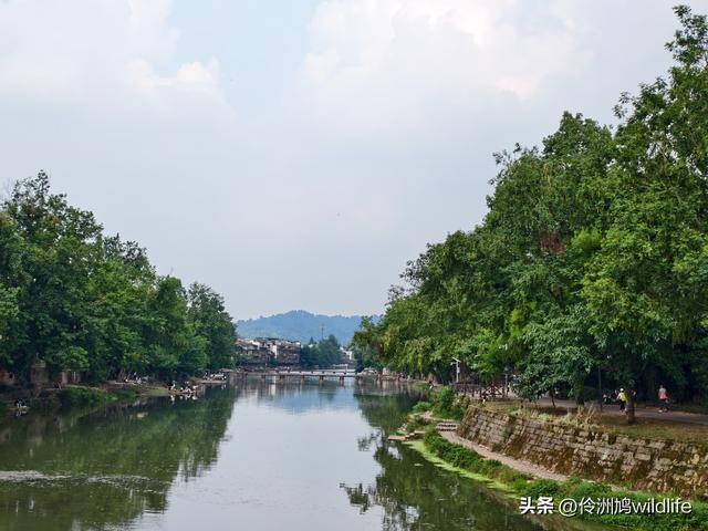 成都古镇（16）邛崃夹关古镇