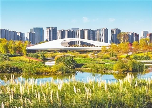 绿道漫步、体育场健身、儿童乐园遛娃……青岛张村河生态绿廊成新晋宝藏休闲游玩地