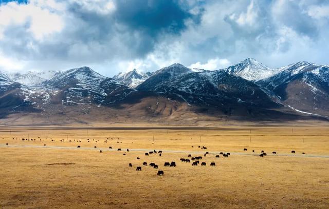 《现在就出发3》首站目的地！现在去门票全免，酒店半价