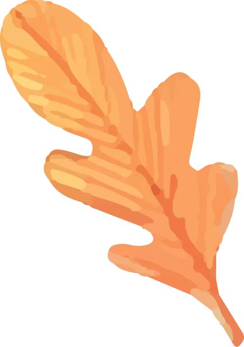 “东南第一山”发福袋！免费、对折，优惠对象面向全国