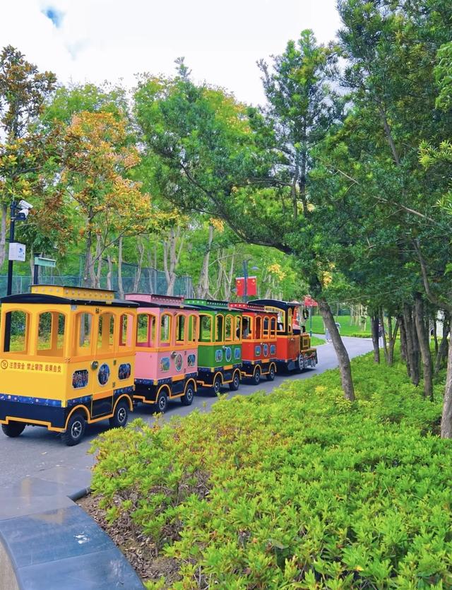 在上海浦东，推荐5个适合秋天拍照的公园