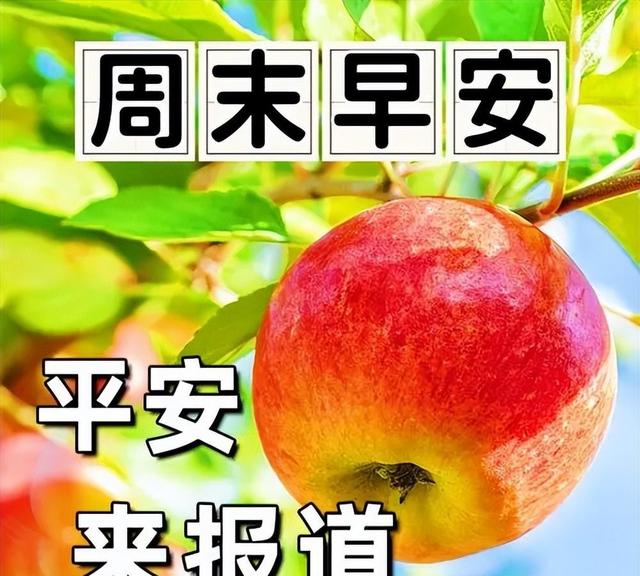 今天早安最新祝福语短句，祝福问候精华，祝福来报到，向你道声早