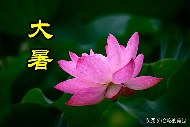 “大暑在头，八月桑拿；大暑在尾，八月穿袄”，今年的大暑在哪？