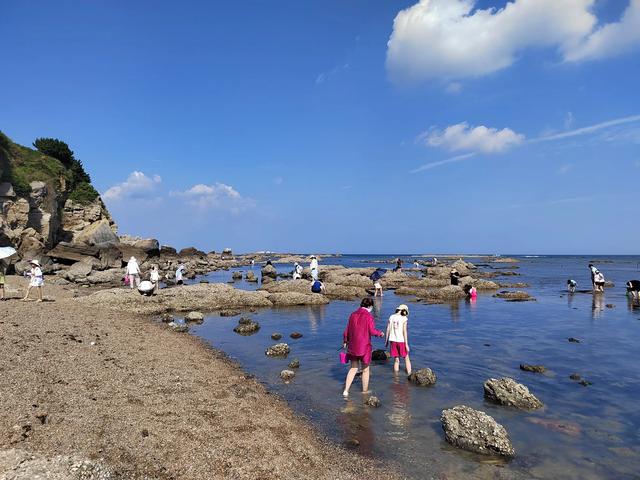 夏日东北行：8月7日，在大连金石滩，观察典型海岸侵蚀地貌。