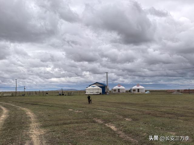 北上大草原第8站：贡格尔草原生活体验一天