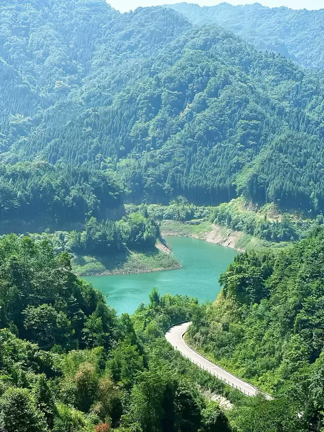 成都1.5h直达的冷门徒步秘境，小众景美独享山野！
