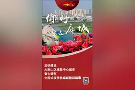 数说麻城75年图片