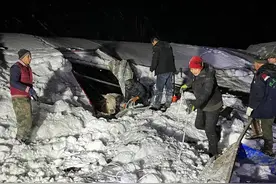 大雪压塌牛棚，他们用挖掘机、铲车救出11头牛图片